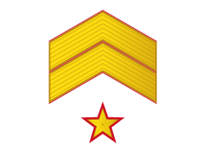 SUBOFICIAL MAYOR